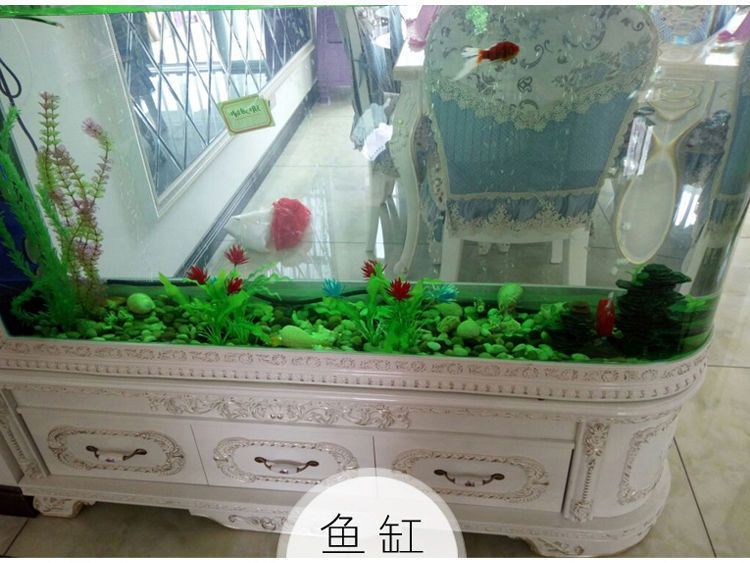 花盆改造成魚缸可行嗎：花盆改裝成魚缸可行嗎？ 魚缸百科 第3張