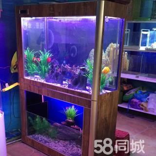 定制魚缸和成品缸的選擇高效的魚缸的優(yōu)缺點在哪里：diy魚缸選擇定制魚缸的優(yōu)缺點在于成品缸的優(yōu)缺點 魚缸百科 第4張