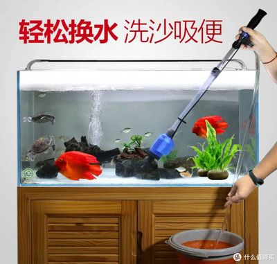 魚缸水質(zhì)管理的藝術(shù)：觀景魚缸水質(zhì)的管理