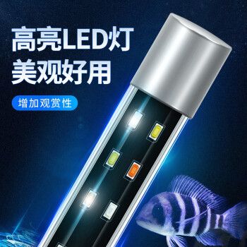 魚缸與家具風(fēng)格的搭配技巧魚缸與家具風(fēng)格的搭配技巧：如何選擇帶柜子的魚缸 魚缸百科 第4張