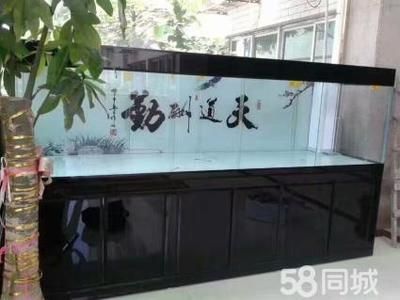 定制魚缸需要注意哪些問題？：定制魚缸是一個需要考慮多個方面的過程以下關(guān)鍵注意事項 魚缸百科 第3張