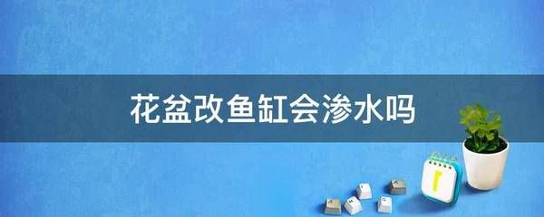 花盆改魚(yú)缸的技巧：花盆改造魚(yú)缸的技巧 魚(yú)缸百科 第3張