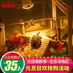 鋼化魚缸價格對比：鋼化玻璃魚缸價格對比 魚缸百科 第3張