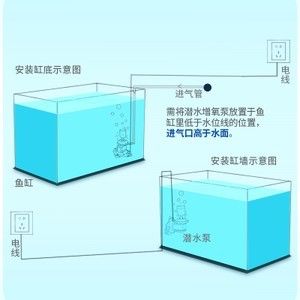 電魚缸的安裝步驟：led電子魚缸安裝指南