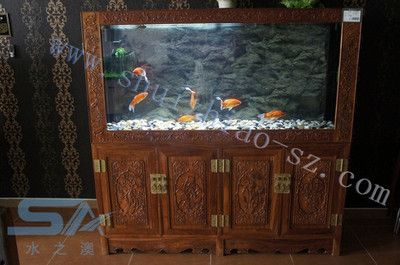 定制魚缸品牌排行榜可麗愛魚缸加盟品牌排行榜：定制魚缸加盟品牌哪個牌子好 魚缸百科 第3張