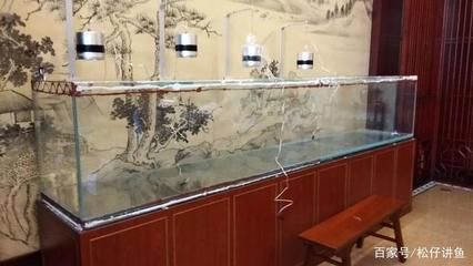 國(guó)外土豪家中的巨型魚(yú)缸造景，100噸水體超級(jí)南美缸：南美魚(yú)缸造景的藝術(shù)與科學(xué) 魚(yú)缸百科 第1張