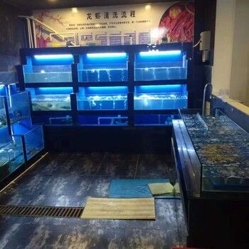 生態(tài)魚缸的設計原理是什么？：無錫鴻顏水族生態(tài)魚缸設計原理生態(tài)魚缸的設計原理 魚缸百科 第3張