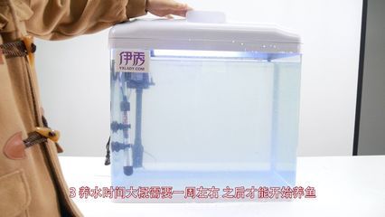 魚缸過濾器選擇：觀賞魚缸過濾器選擇哪種過濾器適合自己的選擇 魚缸百科 第3張