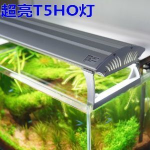 西安秦海寵物用品有限公司海霸魚缸養(yǎng)護(hù)與維護(hù)指南養(yǎng)護(hù)指南：海霸魚缸價格怎么樣 魚缸百科 第3張