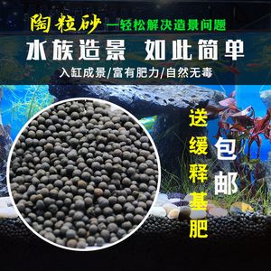 黑色背景的魚缸適合養(yǎng)多種魚類，黑魚混養(yǎng)指南黑魚混養(yǎng)指南：黑色背景的魚缸適合養(yǎng)多種魚類 魚缸百科 第3張