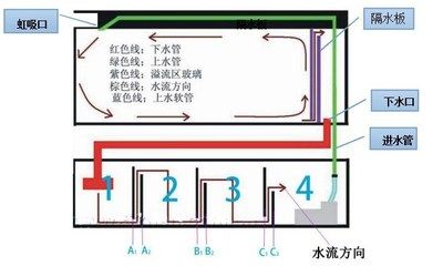 底濾魚缸的溢流設(shè)計(jì)的重要性：底濾魚缸溢流設(shè)計(jì) 魚缸百科 第4張