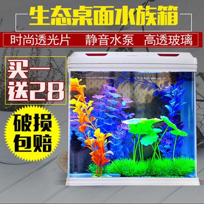 底濾魚缸適合養(yǎng)金魚的發(fā)色是否適合養(yǎng)金魚的發(fā)色：底濾魚缸是否適合養(yǎng)金魚