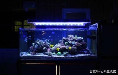 魚缸換水科學原理了解魚缸換水的科學原理了解魚缸換水的科學原理：魚缸換水的科學原理 魚缸百科 第3張