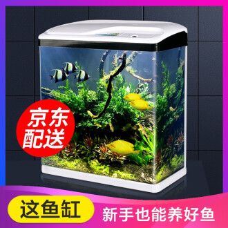 浮法玻璃魚缸的使用壽命如何選擇？：浮法玻璃膠使用壽命大約在8-10年左右，浮法玻璃膠使用壽命 魚缸百科 第3張