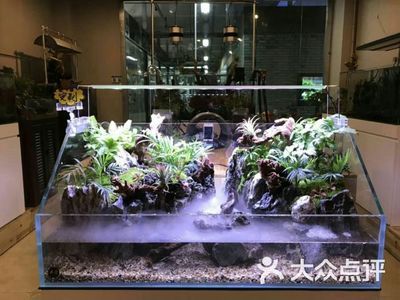 生態(tài)魚缸造景的發(fā)展趨勢是什么？：海洋生態(tài)魚缸造景圖技術(shù)的發(fā)展趨勢隨著科技的進(jìn)步