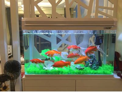 魚缸十大品牌排行榜：國產(chǎn)魚缸十大品牌排行榜：水族箱、水族箱、佳寶jebo 魚缸百科 第3張