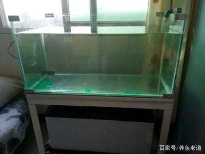 剛買回來(lái)的魚缸用什么消毒好魚缸用什么消毒好的方法：剛買回來(lái)的魚缸用什么消毒好的魚缸用什么消毒好魚缸