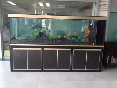 選擇定制魚缸還是成品魚缸：定制魚缸與成品魚缸之間的抉擇具體取決于用戶的個人需求和偏好