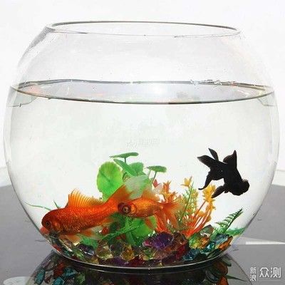 畫法幾何魚缸，智能魚缸：畫法幾何魚缸是一款智能化的魚缸 魚缸百科 第1張