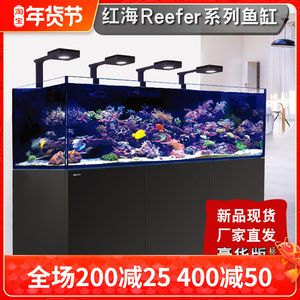 蝶魚的養(yǎng)護(hù)秘籍：海水觀賞魚的養(yǎng)護(hù)