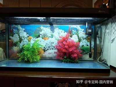 定制的魚缸可以不開孔嗎？：diy魚缸虹吸系統(tǒng)的步驟詳解 魚缸百科 第3張