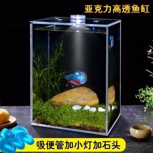 瘋狂石頭魚缸過濾器的工作原理是水族箱養(yǎng)護中的重要設(shè)備：瘋狂的石頭魚缸過濾器怎么選 魚缸百科 第3張