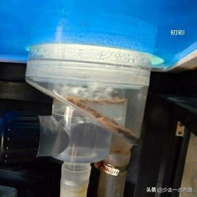 魚缸清理珊瑚砂的正確養(yǎng)護(hù)方法是什么，魚缸清潔背后的科學(xué)原理：如何正確清理魚缸 魚缸百科 第1張