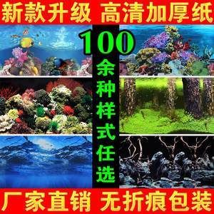 魚缸圖畫背景貼紙設(shè)計：珊瑚礁生態(tài)揭秘珊瑚礁生態(tài)揭秘珊瑚礁生態(tài)揭秘珊瑚礁生態(tài)揭秘 魚缸百科 第4張