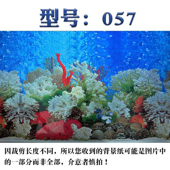 魚缸圖畫背景貼紙設(shè)計：珊瑚礁生態(tài)揭秘珊瑚礁生態(tài)揭秘珊瑚礁生態(tài)揭秘珊瑚礁生態(tài)揭秘 魚缸百科 第3張