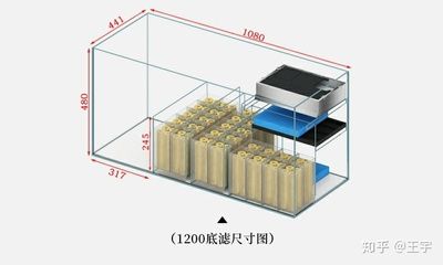 魚缸過濾材料選擇指南：魚缸底濾魚缸過濾系統(tǒng)布置濾材布置的具體步驟和注意事項(xiàng) 魚缸百科