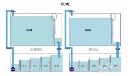 底濾魚缸在停電的情況下通常不會(huì)漏水，主要?dú)w功于魚缸設(shè)計(jì)：底濾魚缸在停電時(shí)會(huì)不會(huì)漏水 魚缸百科 第4張