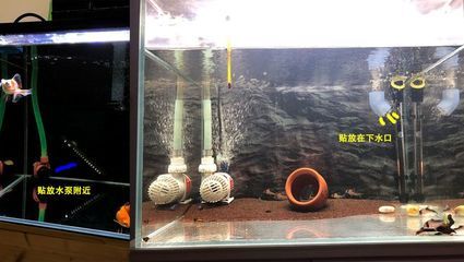 魚缸溢流管噪音大怎么辦：底濾魚缸溢流管噪音大可能是由于以下幾個(gè)原因 魚缸百科 第3張