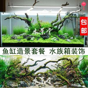 廣州魚缸造景用的杜鵑根價(jià)格范圍：廣州地區(qū)魚缸造景用的杜鵑根價(jià)格范圍