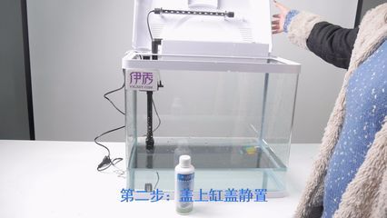 魚缸消毒的幾種方法：剛買的魚缸可以用鹽水、高錳酸鉀或其他消毒劑進行消毒