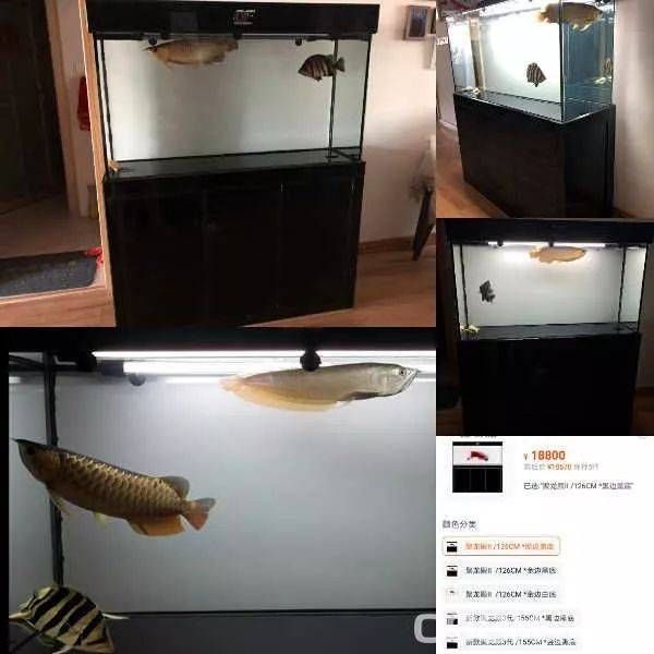 購買二手魚缸水族箱需要注意什么？：如何選擇二手魚缸水族箱 魚缸百科 第1張