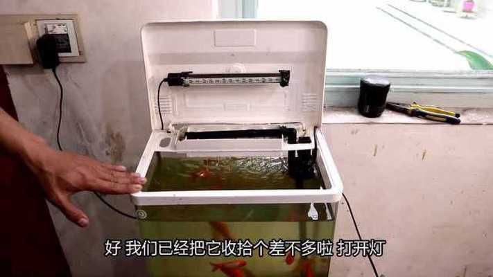 錦鯉魚缸清洗的方法：紅鯉魚缸清洗的方法 魚缸百科 第2張