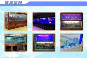 海之境魚缸怎么樣：北京海之境魚缸官方旗艦店 魚缸百科 第3張