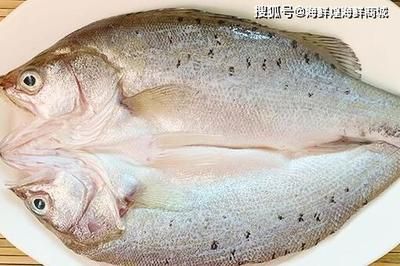 海水魚缸的養(yǎng)護(hù)技巧養(yǎng)護(hù)技巧海水魚缸的養(yǎng)護(hù)技巧：養(yǎng)海魚可以使用海水嗎？ 魚缸百科 第3張