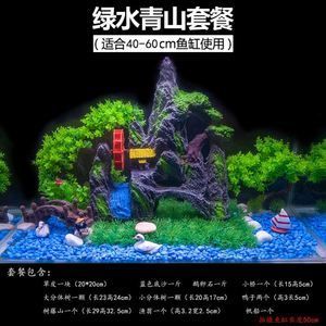 海底造景魚缸設(shè)計(jì)需要考慮的問(wèn)題：海底造景魚缸設(shè)計(jì)是熱帶魚飼養(yǎng)與種植基礎(chǔ)上發(fā)展起來(lái)的 魚缸百科 第1張