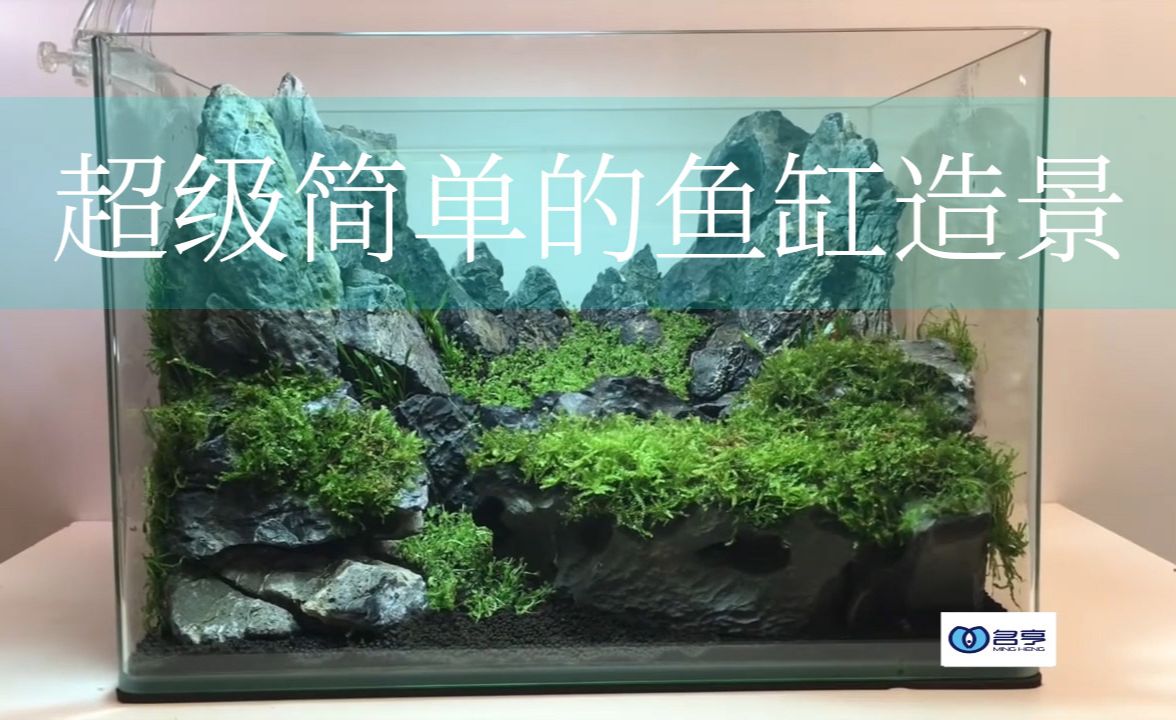 底濾魚缸造景的魅力探索水草造景的魅力探索水草造景的魅力：底濾魚缸可以造景嗎 魚缸百科 第1張