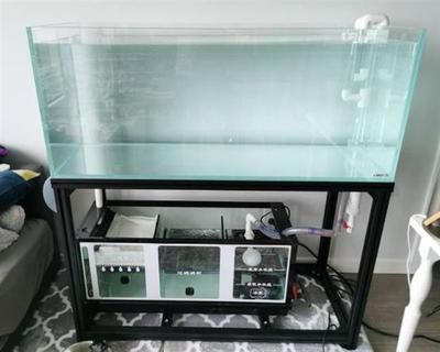 底濾魚缸安全防護：底濾魚缸停電安全防護 魚缸百科 第1張