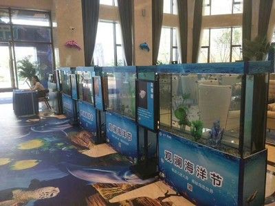 山西海之星水族工藝制品有限公司定制海鮮池和魚缸的選擇：山西海之星水族公司定制海鮮池和魚缸 魚缸百科 第4張