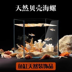 海星牌魚缸一米尺寸的具體價格是多少：如何選擇合適的魚缸尺寸 魚缸百科 第2張