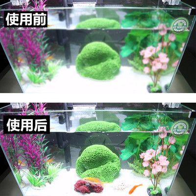 魚缸與過濾桶的搭配藝術：水族箱生態(tài)系統(tǒng)揭秘水族箱生態(tài)系統(tǒng)揭秘水族箱生態(tài)系統(tǒng) 魚缸百科 第3張