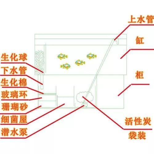 魚(yú)缸過(guò)濾系統(tǒng)的擺放順序：底濾魚(yú)缸濾材擺放順序