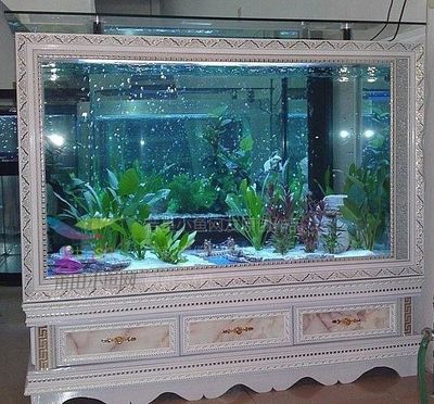 廣興水族魚缸工藝廠家的聯(lián)系方式為電話：18218225027：廣興水族魚缸工藝廠家的聯(lián)系方式 魚缸百科 第4張