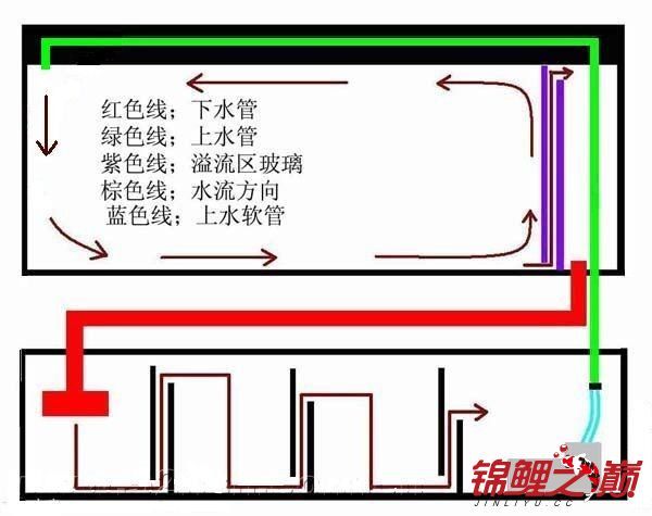 水族箱過濾技術(shù)的演變歷程：底濾魚缸與上濾魚缸各有其特點和適用場景 魚缸百科 第4張