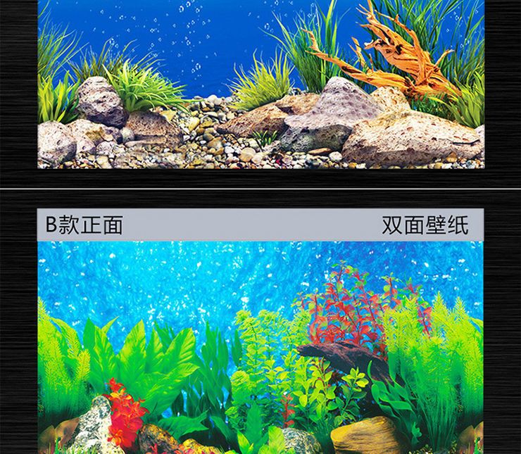 魚缸背景貼紙選擇：如何選擇魚缸背景貼紙 魚缸百科 第3張