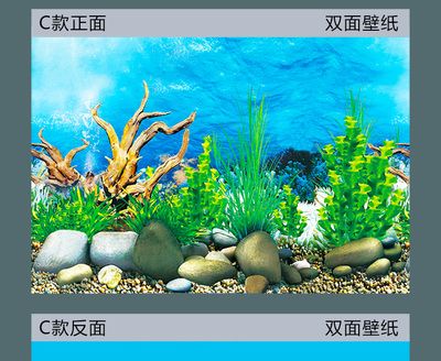 魚缸背景貼紙選擇：如何選擇魚缸背景貼紙 魚缸百科 第1張