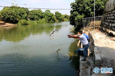 河蚌放魚缸里可以凈化水質(zhì)嗎？：河蚌放入魚缸里可以凈化水質(zhì)嗎？ 魚缸百科 第1張